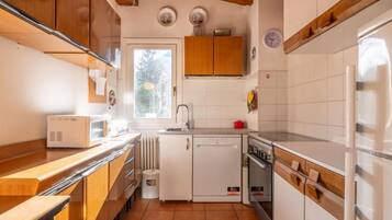 Fridge, oven, dishwasher, cookware/dishes/utensils