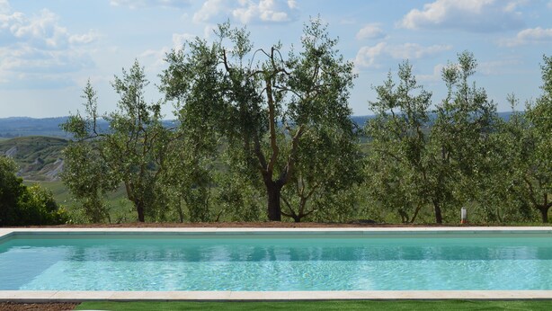 Pool - Cottage with private swimming pool (Asciano)
