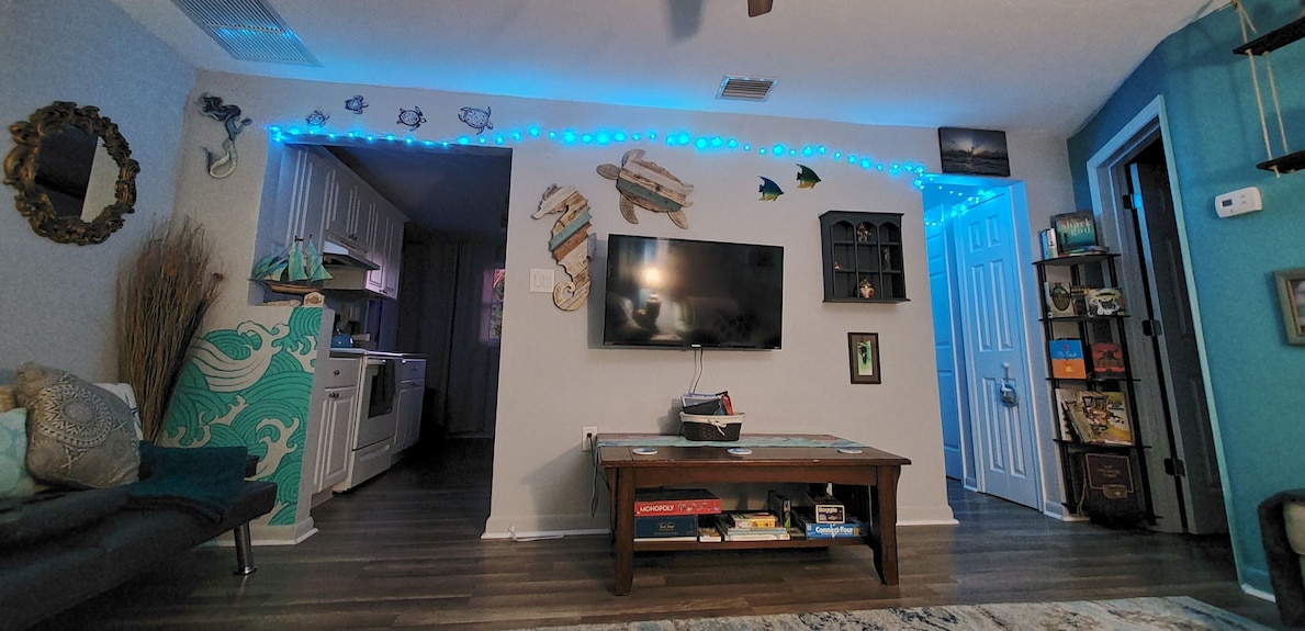 10 Mins From The Beach, Pet Friendly, Huge Yard! - Dunedin, FL