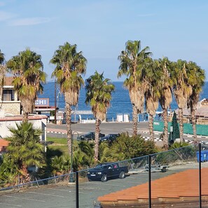 Une vue sur la côte, avec des palmiers, un parking et un panneau indiquant « CHI ».
