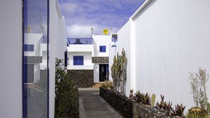 Une ruelle étroite bordée de bâtiments blancs, de volets bleus et de cactus le long du chemin.