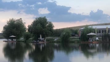 Järvi