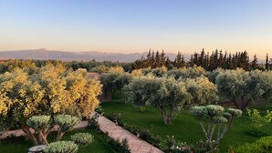 A landscaped garden with a variety of trees and a paved walkway. - Villa Malaa'ika for 20 people (Marrakech)
