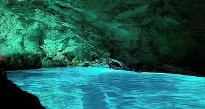 Seafront historical villa with fabulous garden and private pool