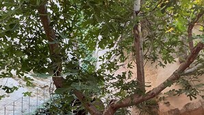 A courtyard with outdoor seating, including colorful chairs and a bench, surrounded by greenery and a stone wall. - Village house with garden and pool (ANSOUIS)