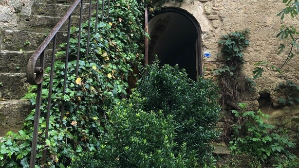 A stone staircase with metal railings, leading to an arched doorway. - Village house with garden and pool (ANSOUIS)