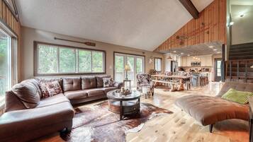 TV, fireplace, DVD player, books