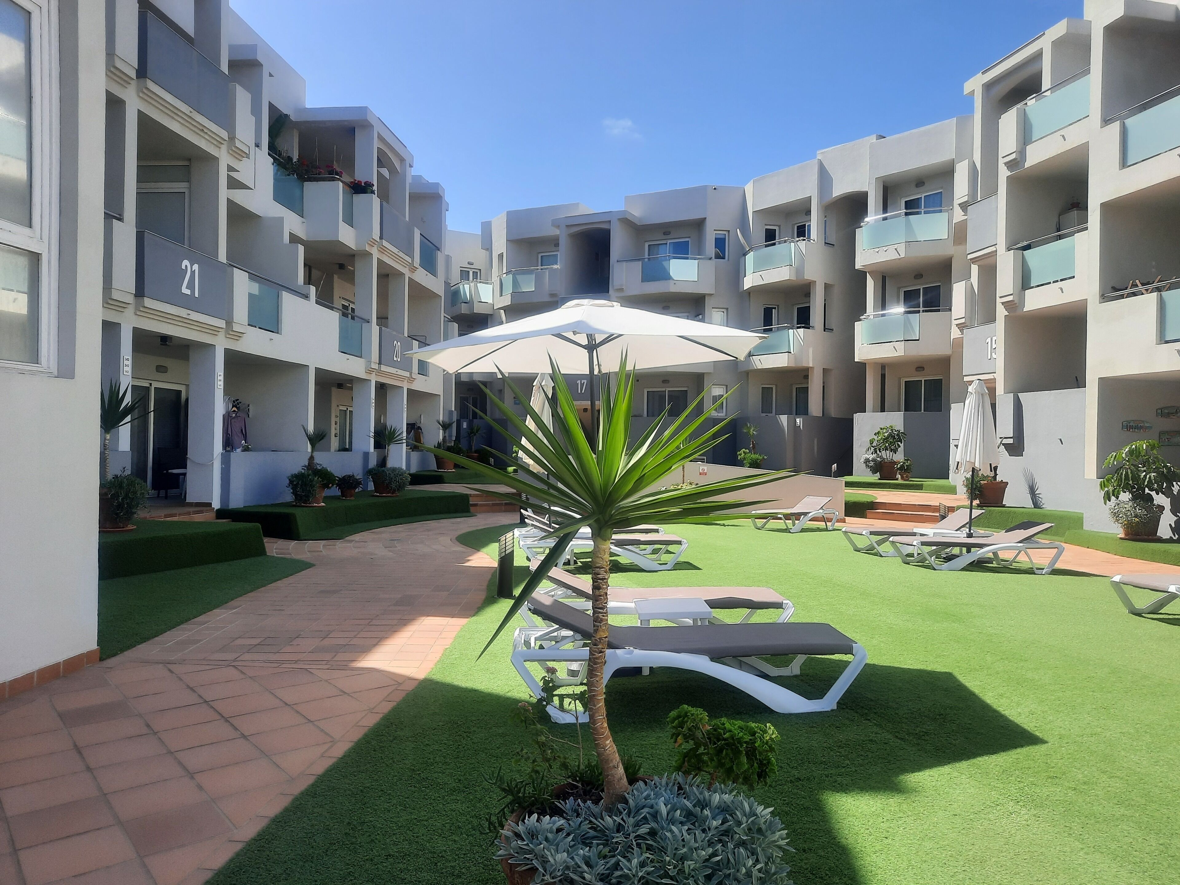 A courtyard with a pool, lounge chairs, and a palm tree.