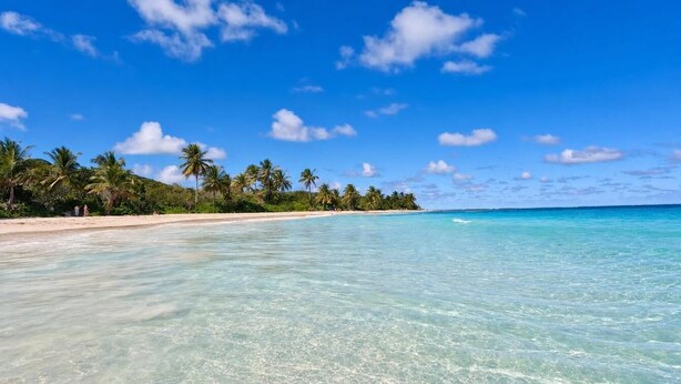 Una spiaggia con acque cristalline turchesi, palme e una riva sabbiosa.