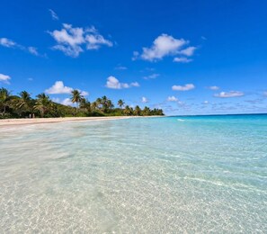 A beach with clear turquoise water, palm trees, and a sandy shore.