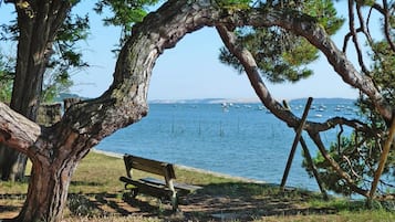 Vlak bij het strand