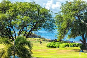 Campo de golf con vista al océano, rodeado de vegetación exuberante y árboles.