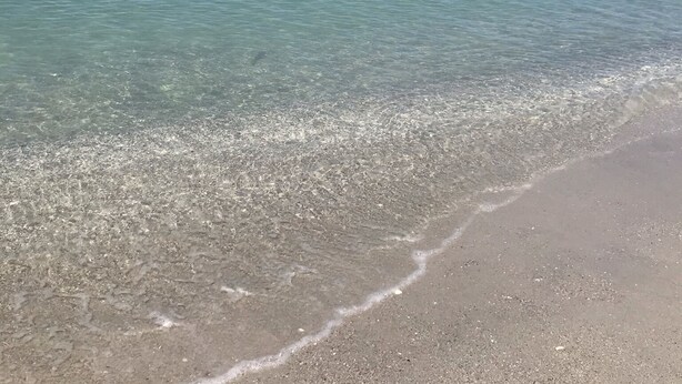 A beach with clear shallow waters and a sandy shore. - Private heated pool. Shark teeth, close to beaches, downtown, shopping, biking… (Venice)