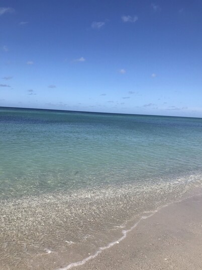 Private heated pool. Shark teeth, close to beaches, downtown, shopping, biking…