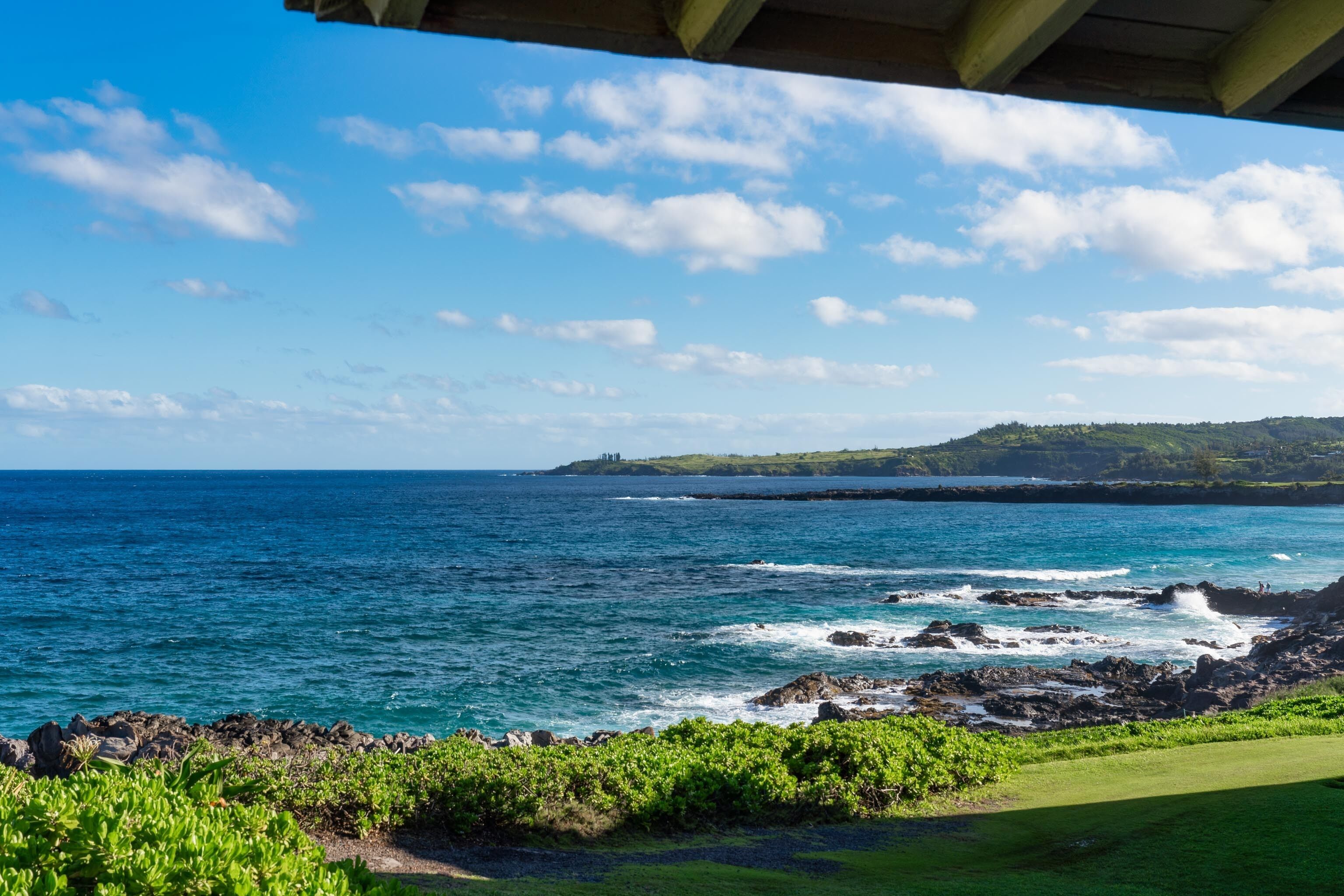 Une vue sur la côte, avec un ciel dégagé, des vagues sur l’océan et une zone herbeuse.