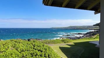 A coastal view from a building with a covered patio overlooking the ocean and a grassy area.