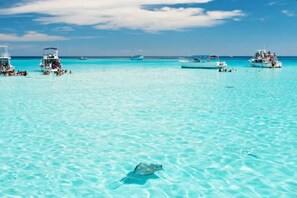 A clear turquoise sea with boats and a stingray visible.