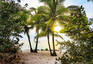 A beach with palm trees and a boat in the distance. - *Farmhouse 2/2 Renovated Condo 6 mins from IMG* (Bradenton)