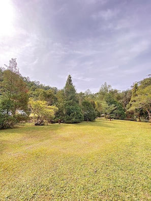 A park with a grassy field, trees, and a clear sky. - Pousada irreplaceable (Bocaina de Minas)