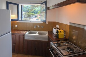 A compact kitchen with a double sink, a gas stove, and a toaster.