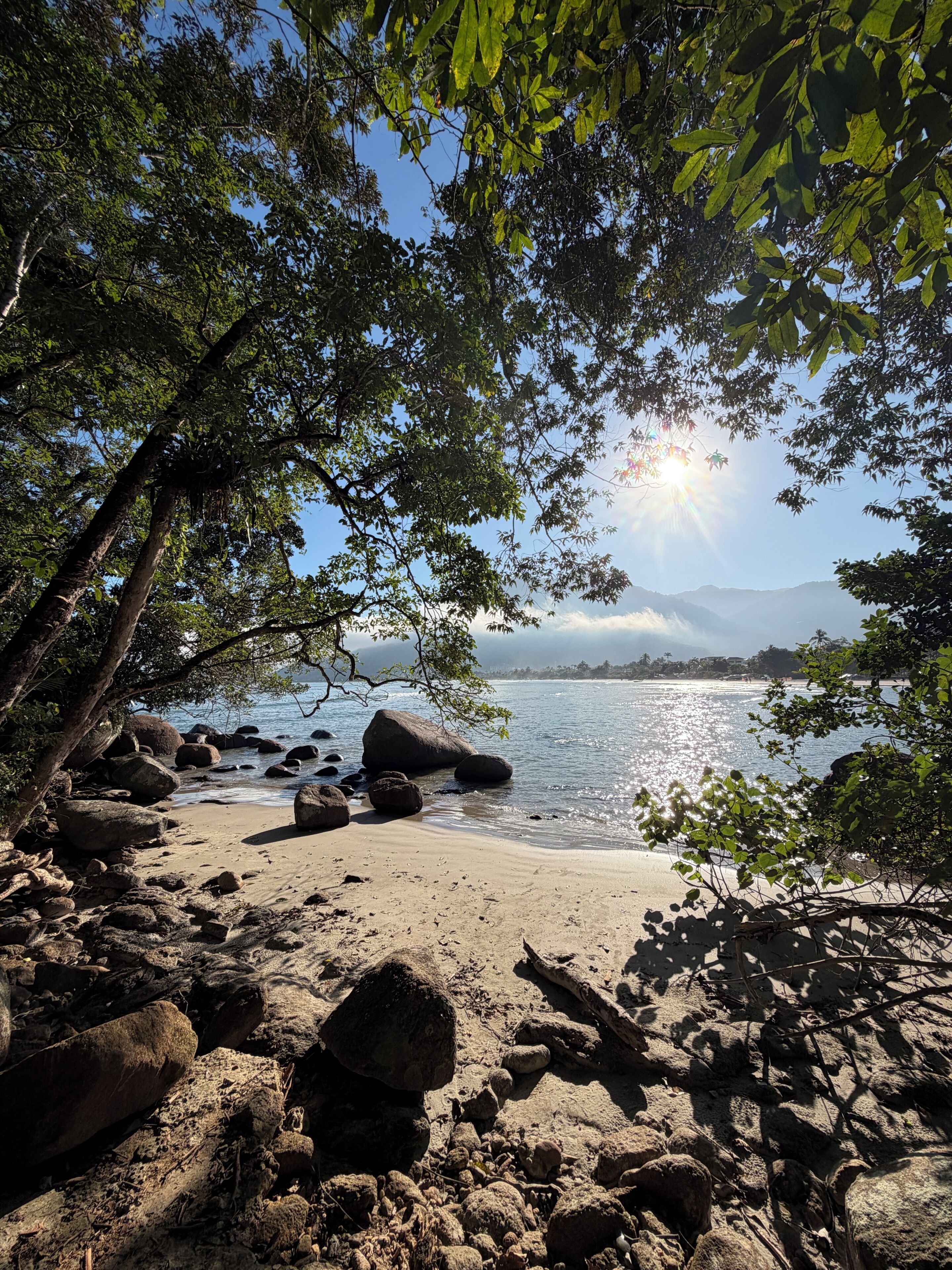 A beach with rocks and trees, a clear sky, and a distant mountain range.