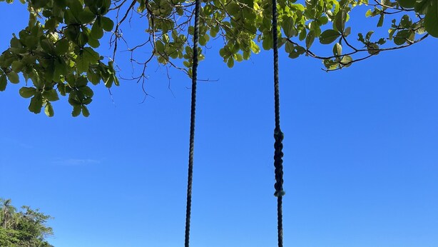 A beach with a swing set, clear blue sky, and calm sea.