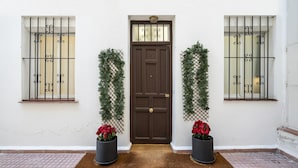 A front entrance with a brown door, two potted plants with red flowers, and a doormat.