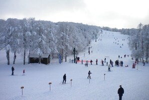 Deportes de invierno y ski