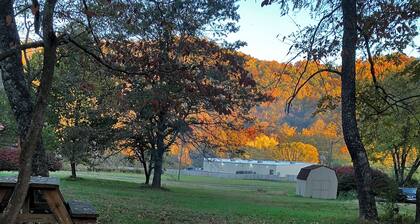 Tiny cabin by the creek