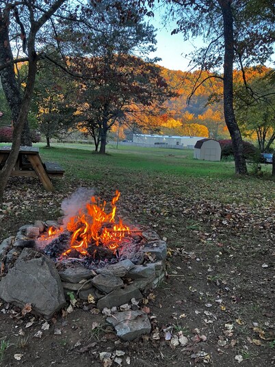 Tiny cabin by the creek