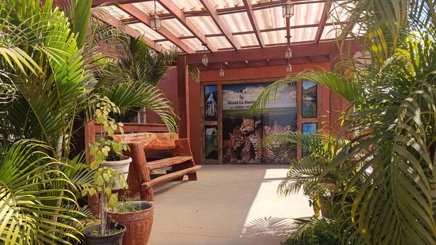A covered outdoor area with a wooden bench, potted plants, and a building entrance with a leopard mural. - Hotel la Sierra (Bodoquena)