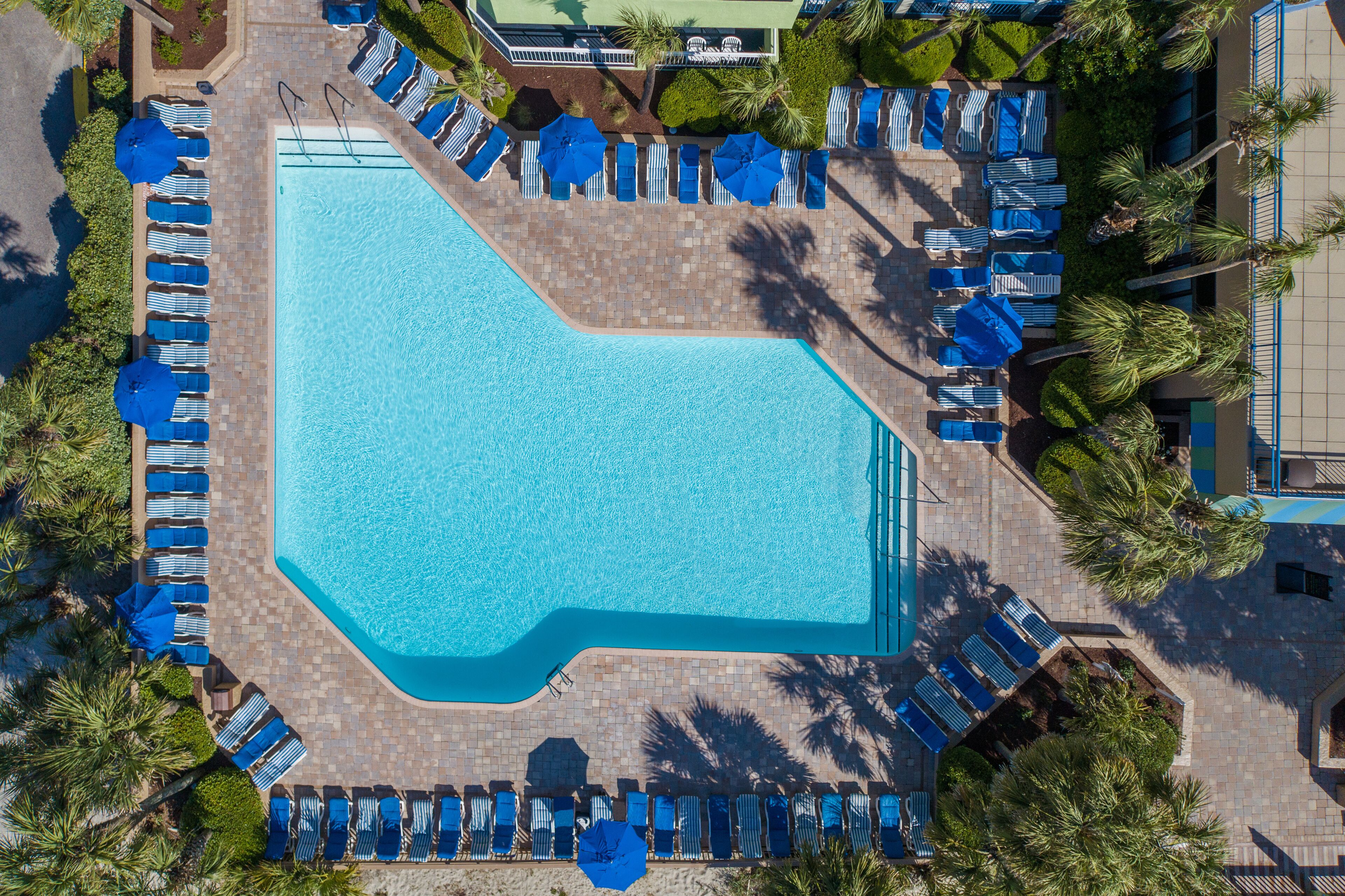 An aerial view of a swimming pool surrounded by lounge chairs and umbrellas, with palm trees and a building in the background.