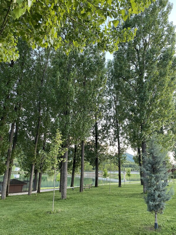 Een park met hoge bomen, een gazon en een bankje.