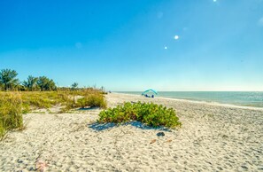 A sandy beach with a clear sky, a small green bush, and a blue structure in the distance.