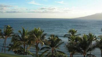 Enjoy breathtaking ocean views from this beachfront balcony, surrounded by swaying palm trees.