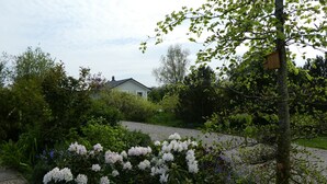 A residential area with a house, lush greenery, and white flowers. - Small modern house in the countryside, close to the Schlei and the Baltic Sea (Kappeln)