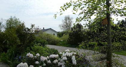 Kleines modern eingerichtetes Haus im Grünen, nahe Schlei und Ostsee