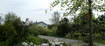 Kleines modern eingerichtetes Haus im Grünen, nahe Schlei und Ostsee