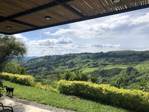 Property grounds - Entire Villa / Minutes to Parque Del Café / Salento (tebaida)