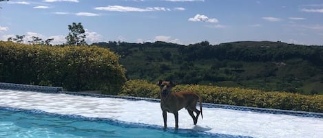 Piscine extérieure