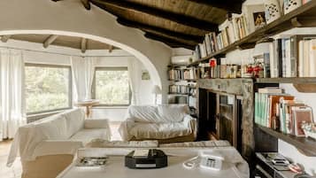 TV connectée, cheminée, lecteur de DVD, livres