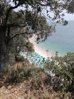 A beach with umbrellas and people.