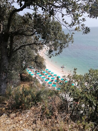 The house of the Sirolo gecko