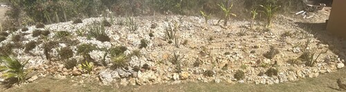 A colored beacon sitting on the hill side road that leads into Sandy Ground,