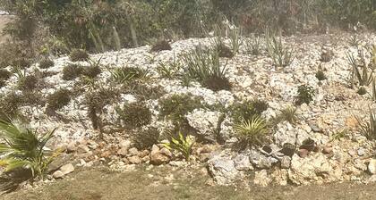 A colored beacon sitting on the hill side road that leads into Sandy Ground,