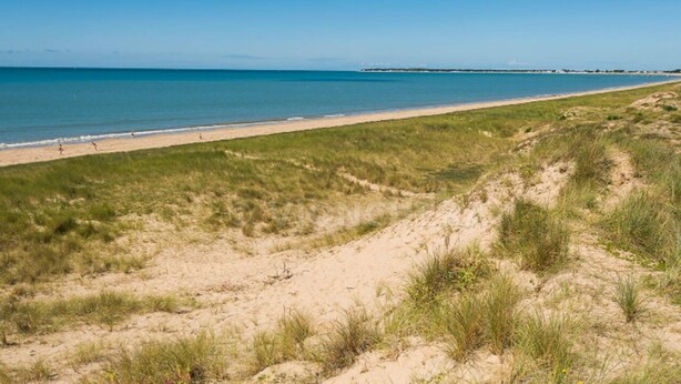 Une plage avec des dunes de sable et un ciel bleu dégagé.
