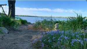 Un sentier de gravier mène à un lac, avec un tas de pierres et des fleurs violettes au premier plan.