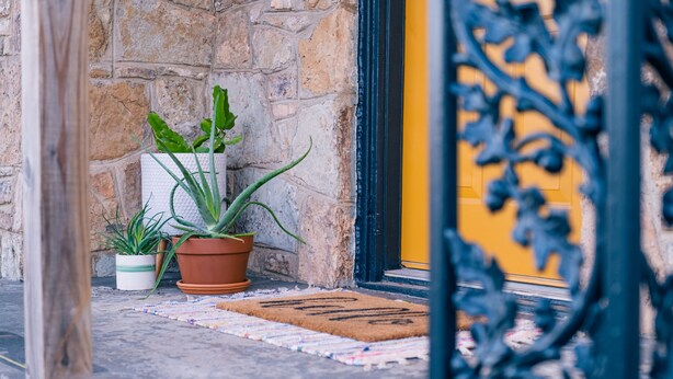 Un muro de piedra, plantas en macetas, un felpudo y un marco de puerta amarillo.