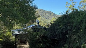 Ein Haus mit Satellitenschüssel, umgeben von dichtem Grün und einem Berg im Hintergrund.