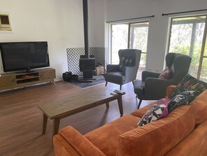 TV connectée, cheminée, livres